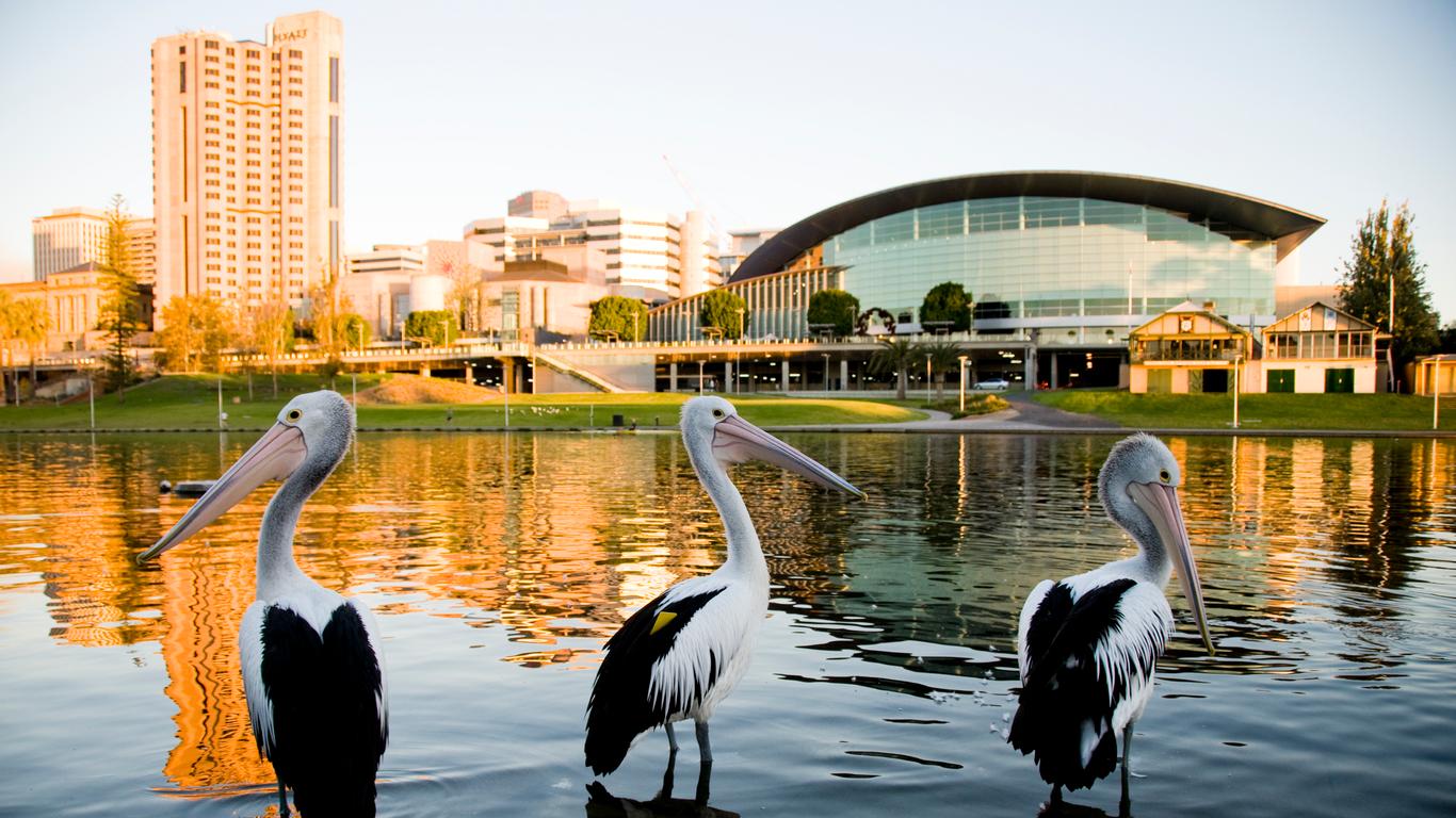 Flights to Adelaide