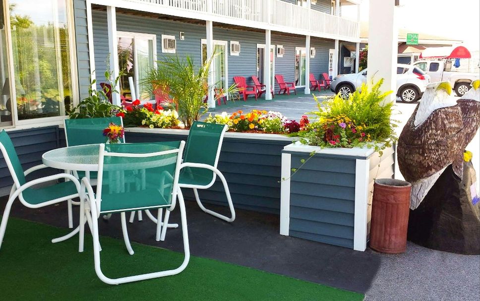 Patio Photo