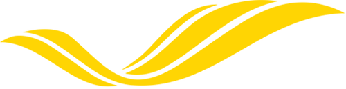 Voepass